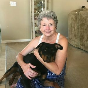 Meet your Posher, Lori